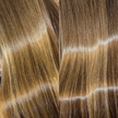 SFHAIR Hair & Body Perfume Mist (Designer Inspired Scents)
