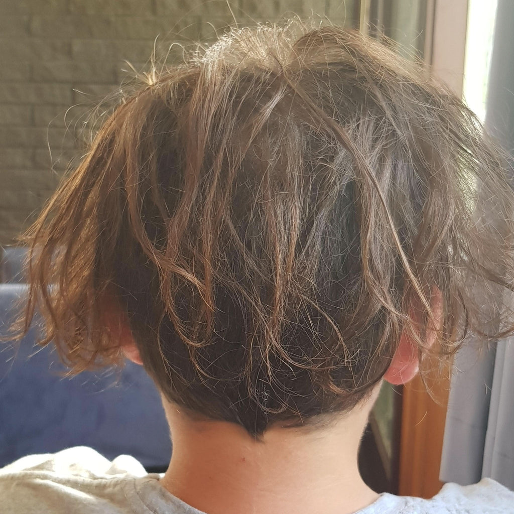 Trial / Travel Size Haircare Set - SFHaircare